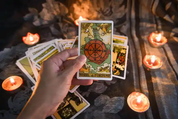 tarot cards Allegan